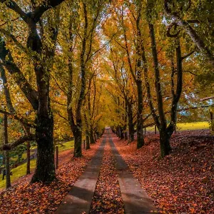 https://villa-country-estate.queenslandhotels.net